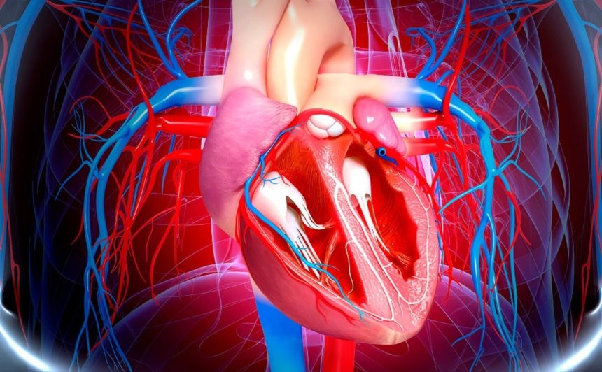 A glükózamin étrend-kiegészítők csökkenthetik a kardiovaszkuláris kockázatot