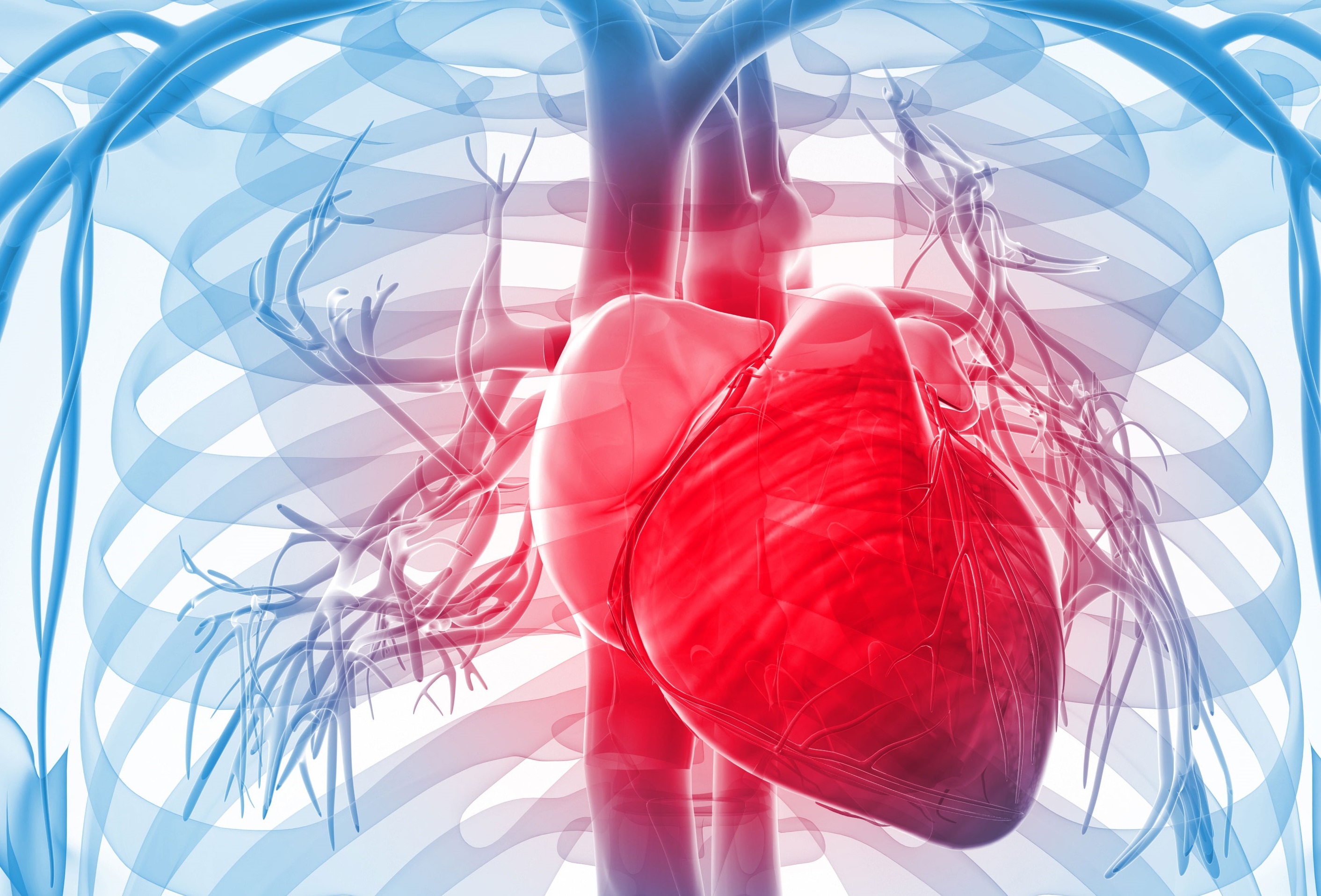 Vernyomasmero adatok Miért olyan fontos kiszűrni a szívritmuszavart, például a pitvarfibrillációt?