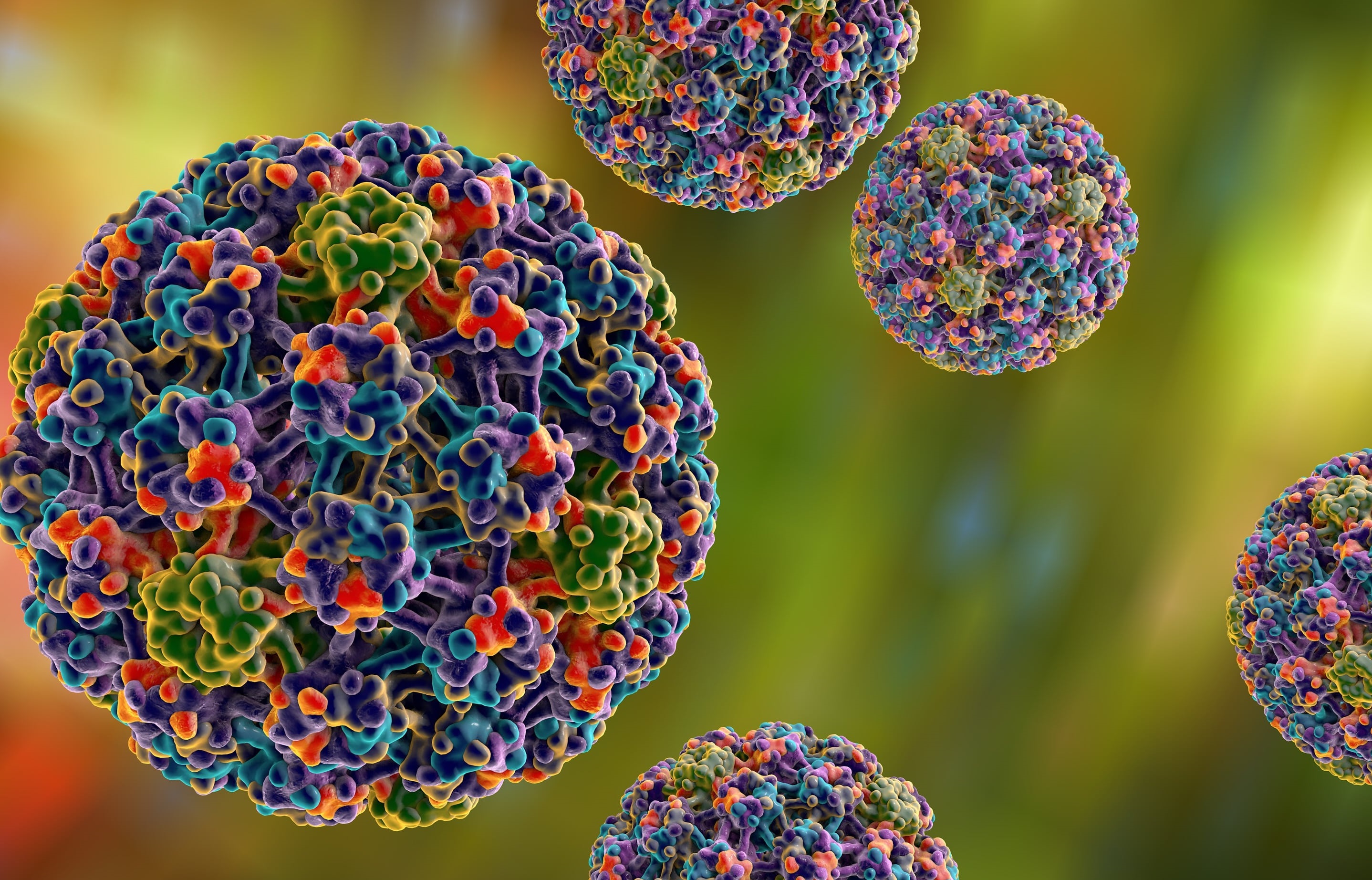 hpv