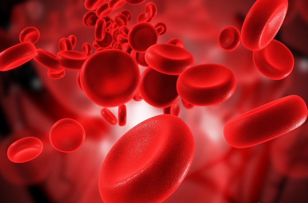 blood