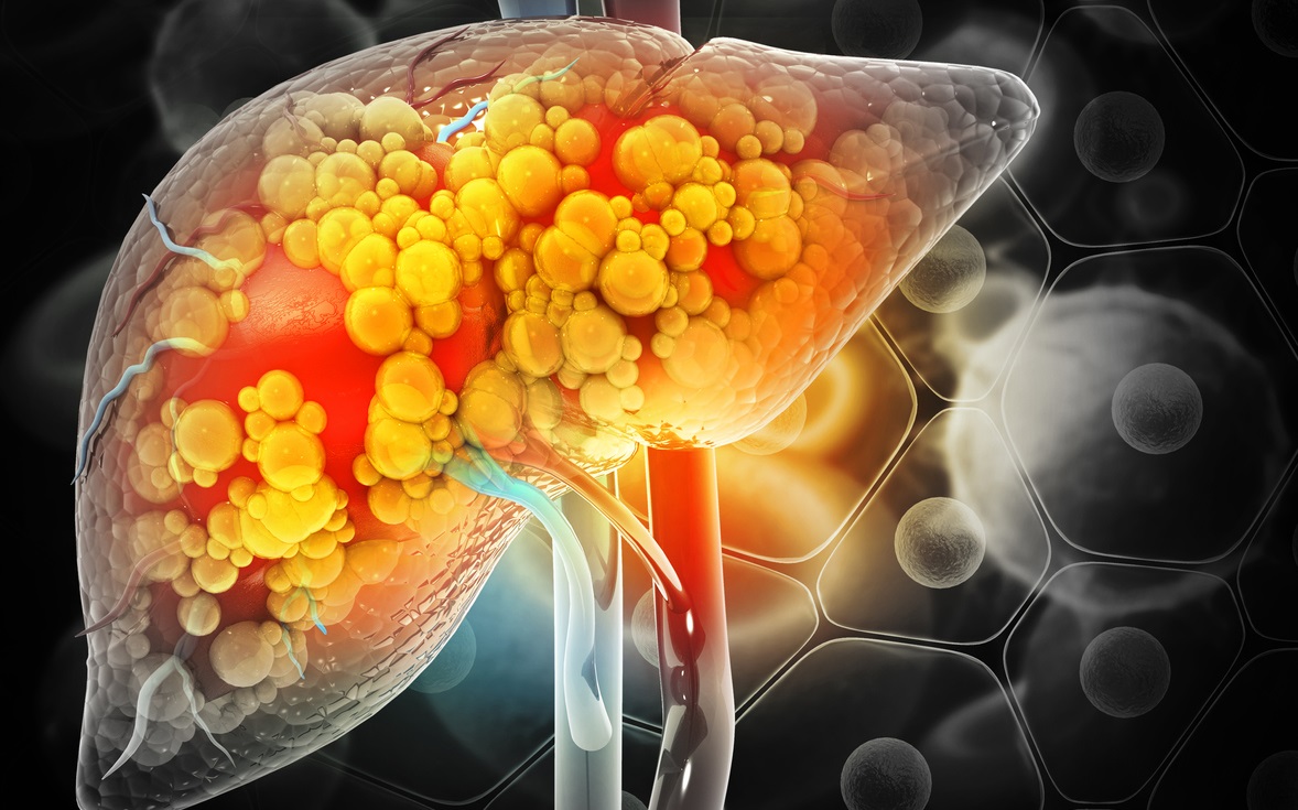 liver